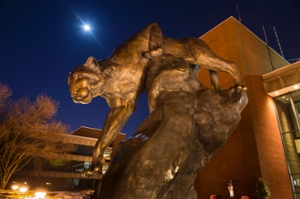 Cougar statue